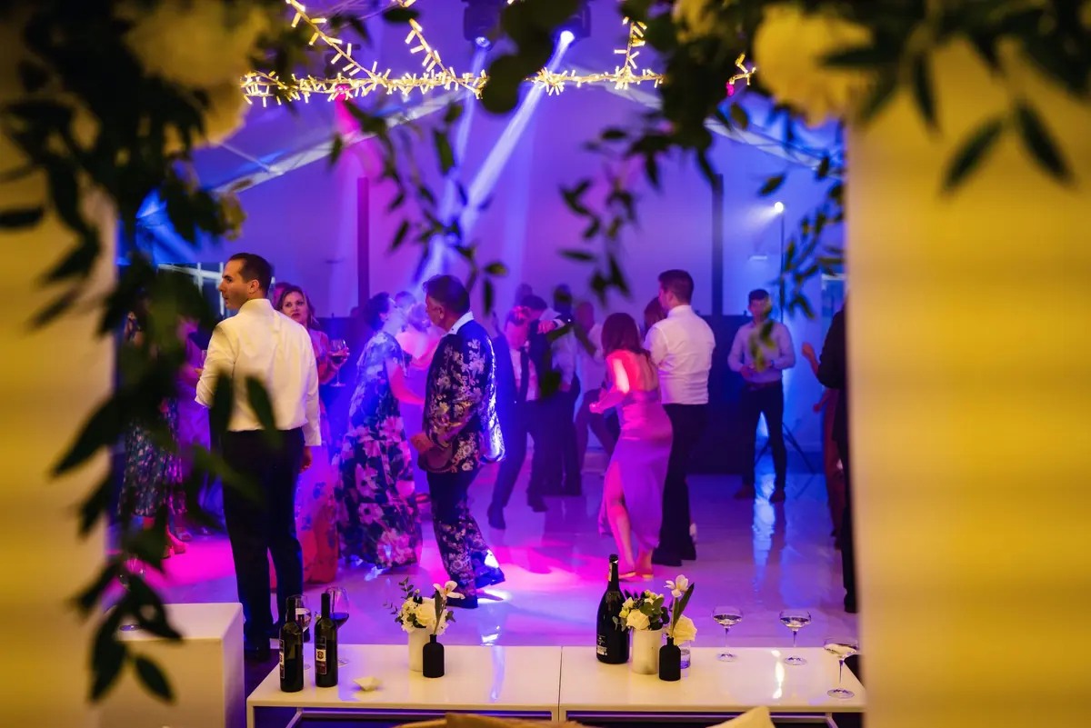 The marquee dance floor in purple light, framed by leaves